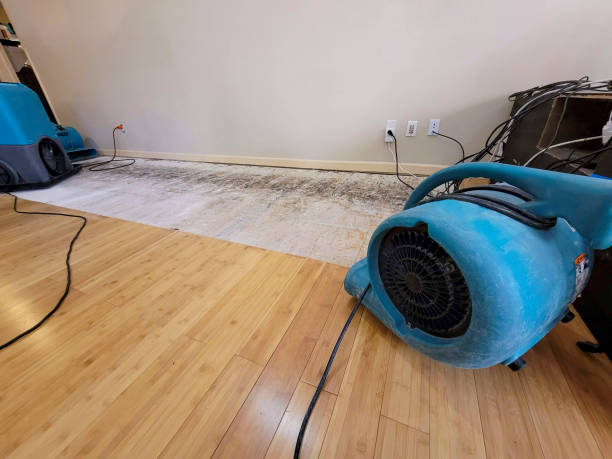 Professional Sewage Cleanup technician working in Victorville, CA